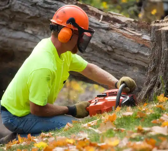 tree services Town Line